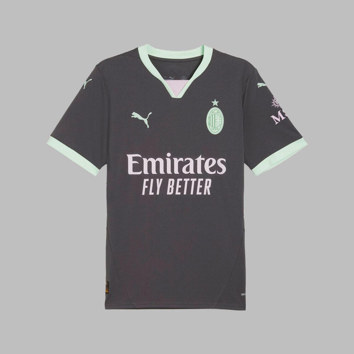 PUMA - Camiseta Puma Hombre Ac Milan 24/25- Gris