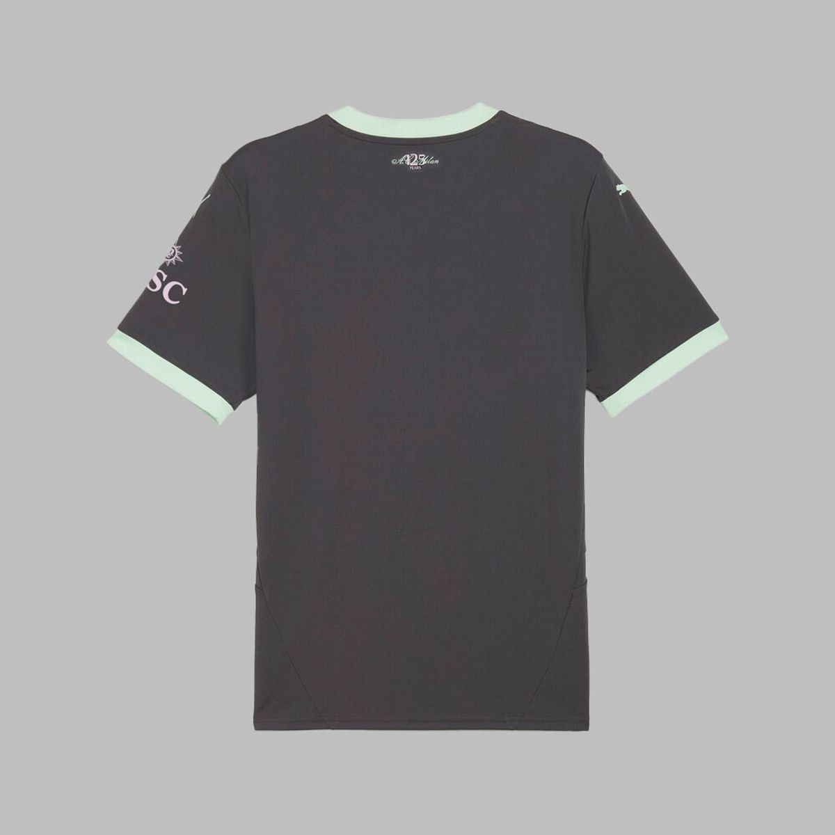 PUMA - Camiseta Puma Hombre Ac Milan 24/25- Gris