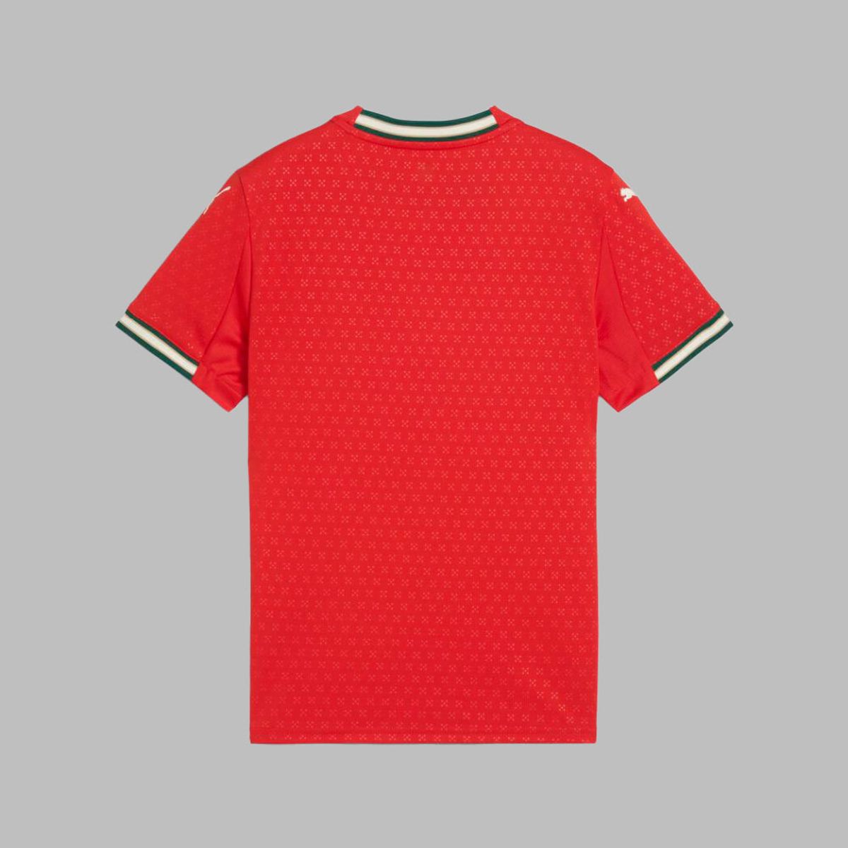 PUMA - Camiseta Puma Kids local de Portugal 2025 Rojo