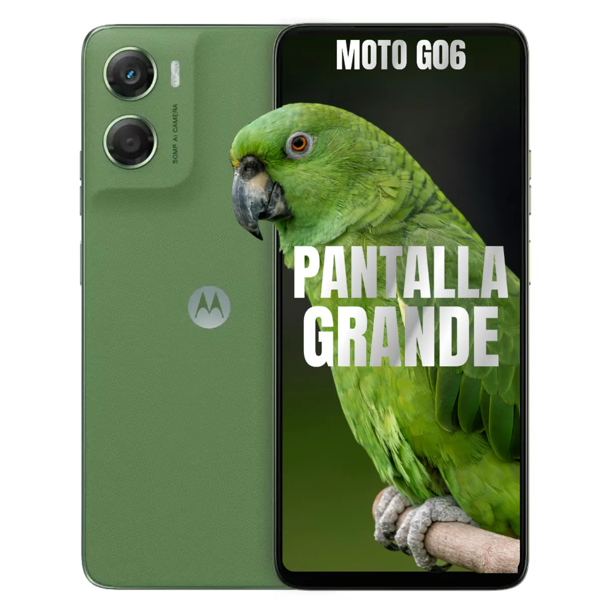 MOTOROLA - Celular MOTOROLA G06 4G 256GB4GB - Verde