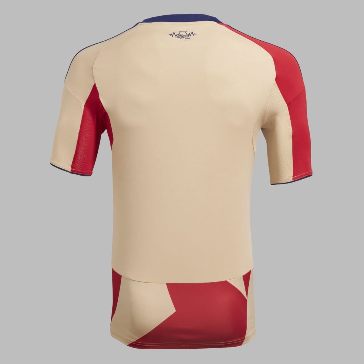 ADIDAS - Camiseta adidas Hombre Tercera DIM FC 2025