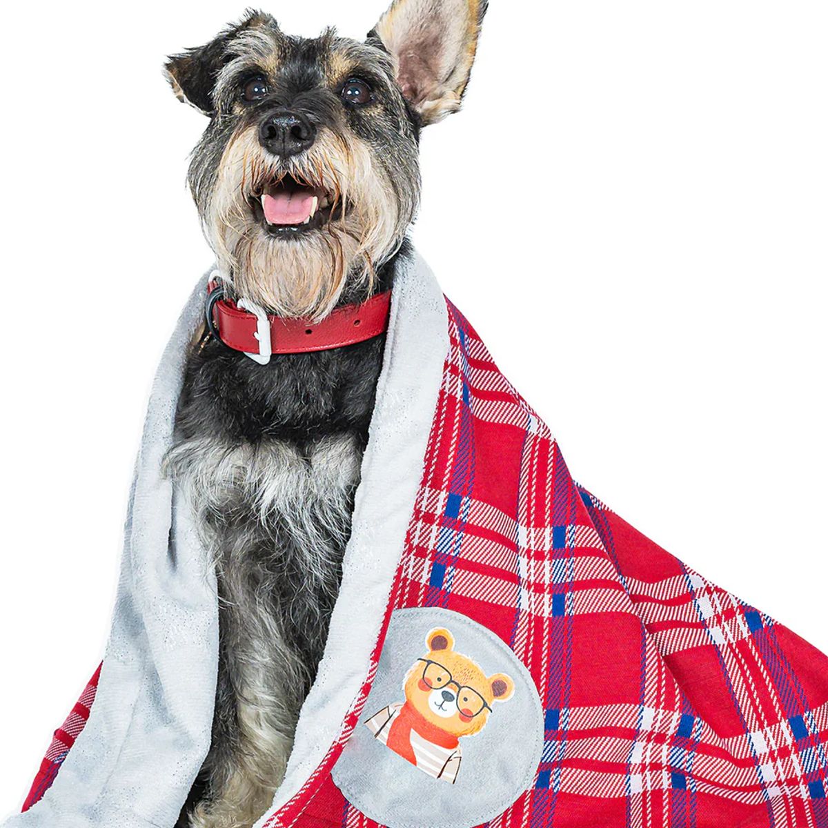 GENERICO - Cobija para perro Brisas de Invierno - Accesorio para Mascotas