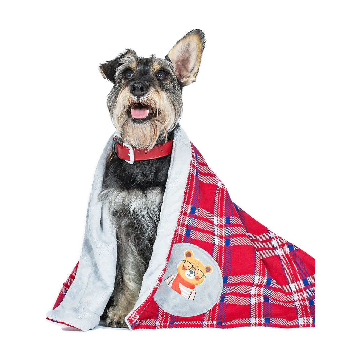 GENERICO - Cobija para perro Brisas de Invierno - Accesorio para Mascotas