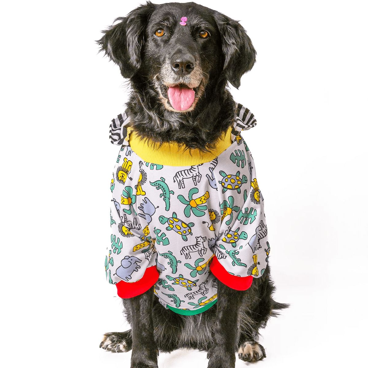 GENERICO - Buzo hoodie para perro Safari - Talla 3XL - Ropa para Mascotas
