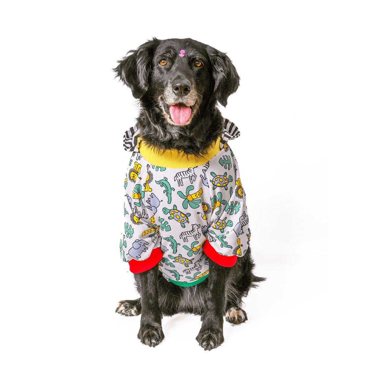 GENERICO - Buzo hoodie para perro Safari - Talla 3XL - Ropa para Mascotas