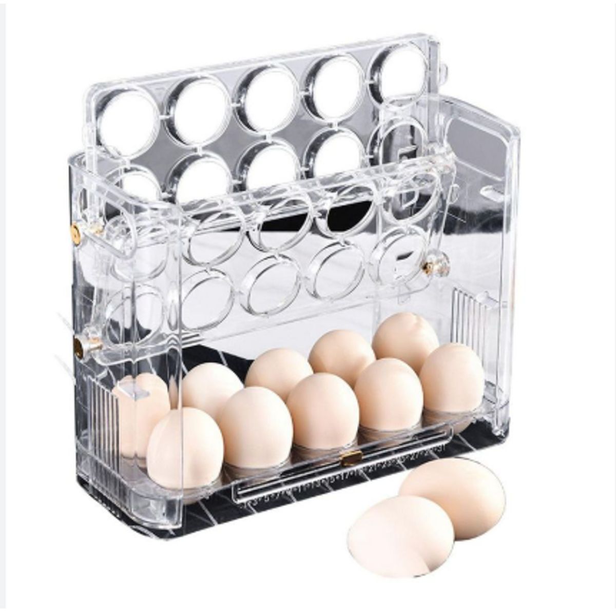 EGG PRODUCTOS DE PAZ - Organizador de Huevos verde y Blanco de lujo