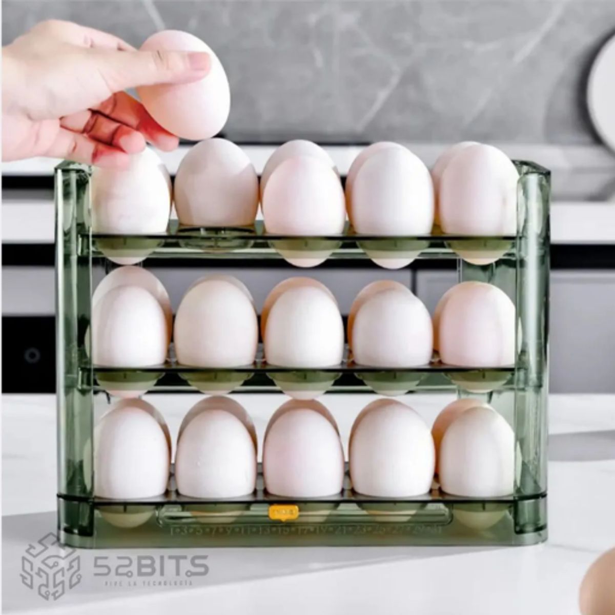 EGG PRODUCTOS DE PAZ - Organizador de Huevos verde y Blanco de lujo