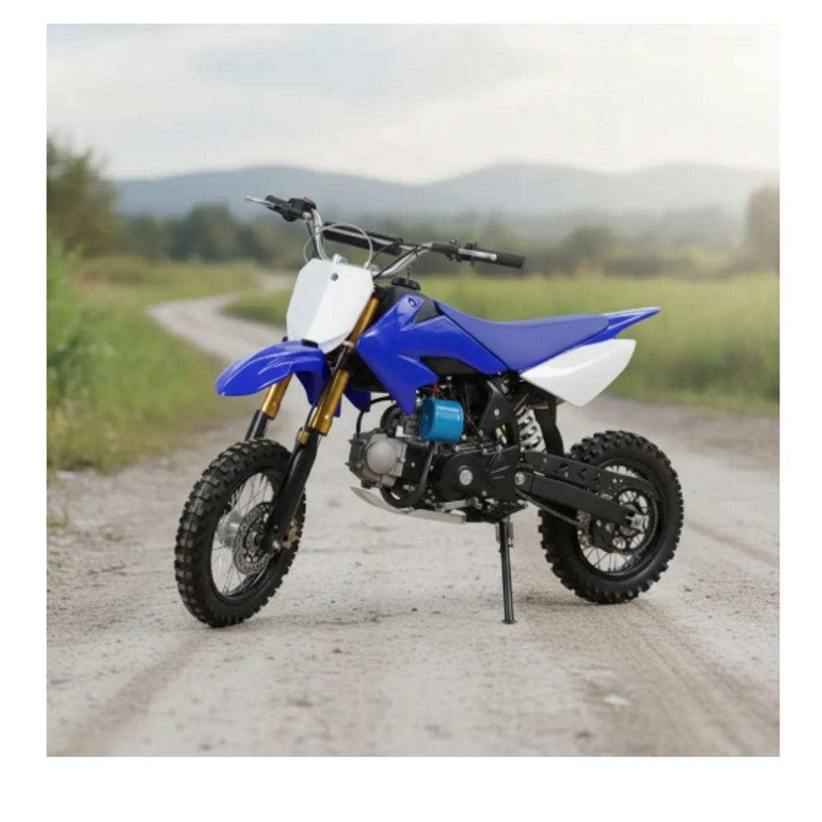 GENERICO - Moto Cross 110cc 4 Tiempos 60 Km/h De Adrenalina Azul