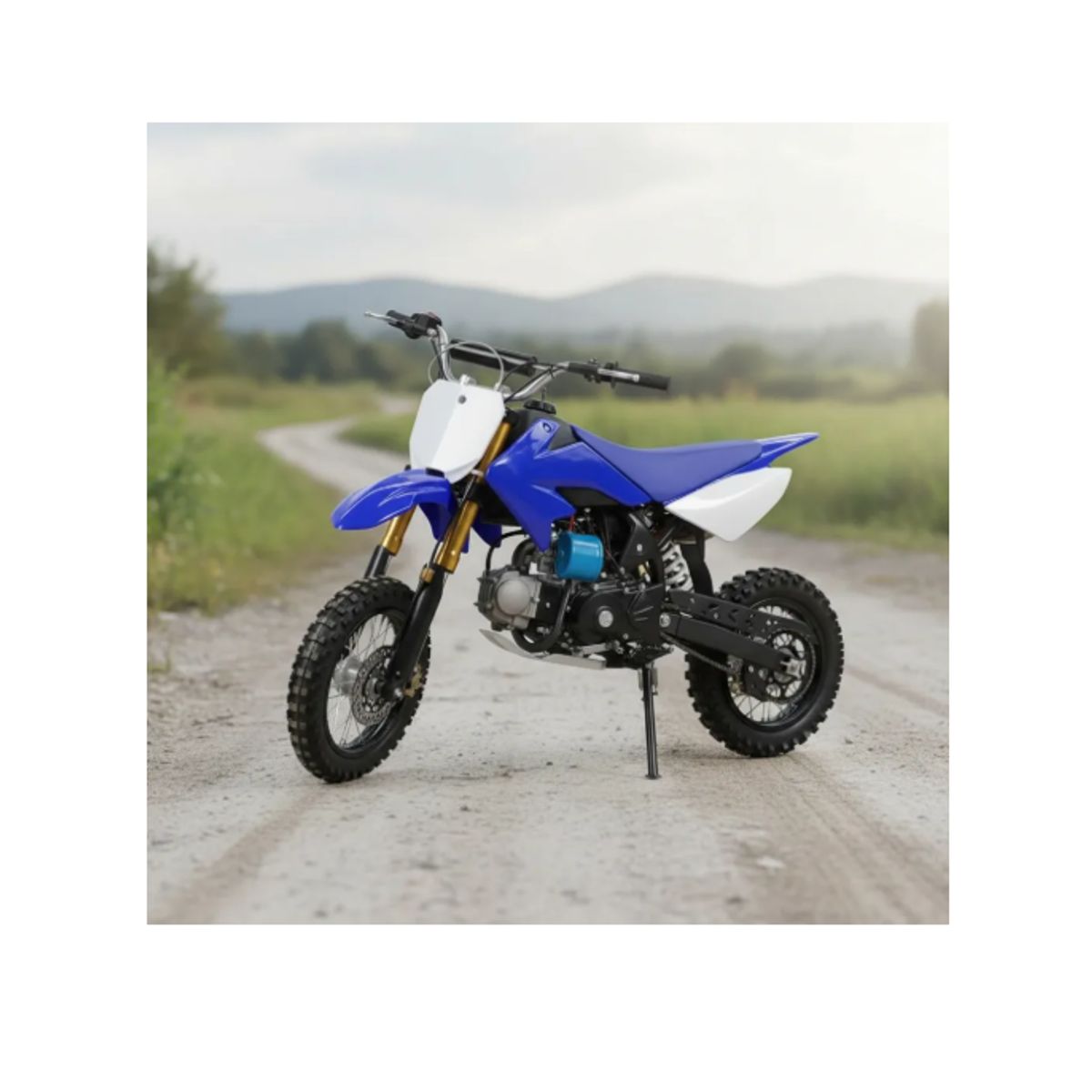 GENERICO - Moto Cross 110cc 4 Tiempos 60 Km/h De Adrenalina Azul