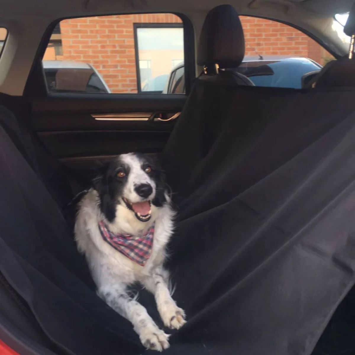 KARYTEX - Protector de carro para mascotas en microfibra impermeable