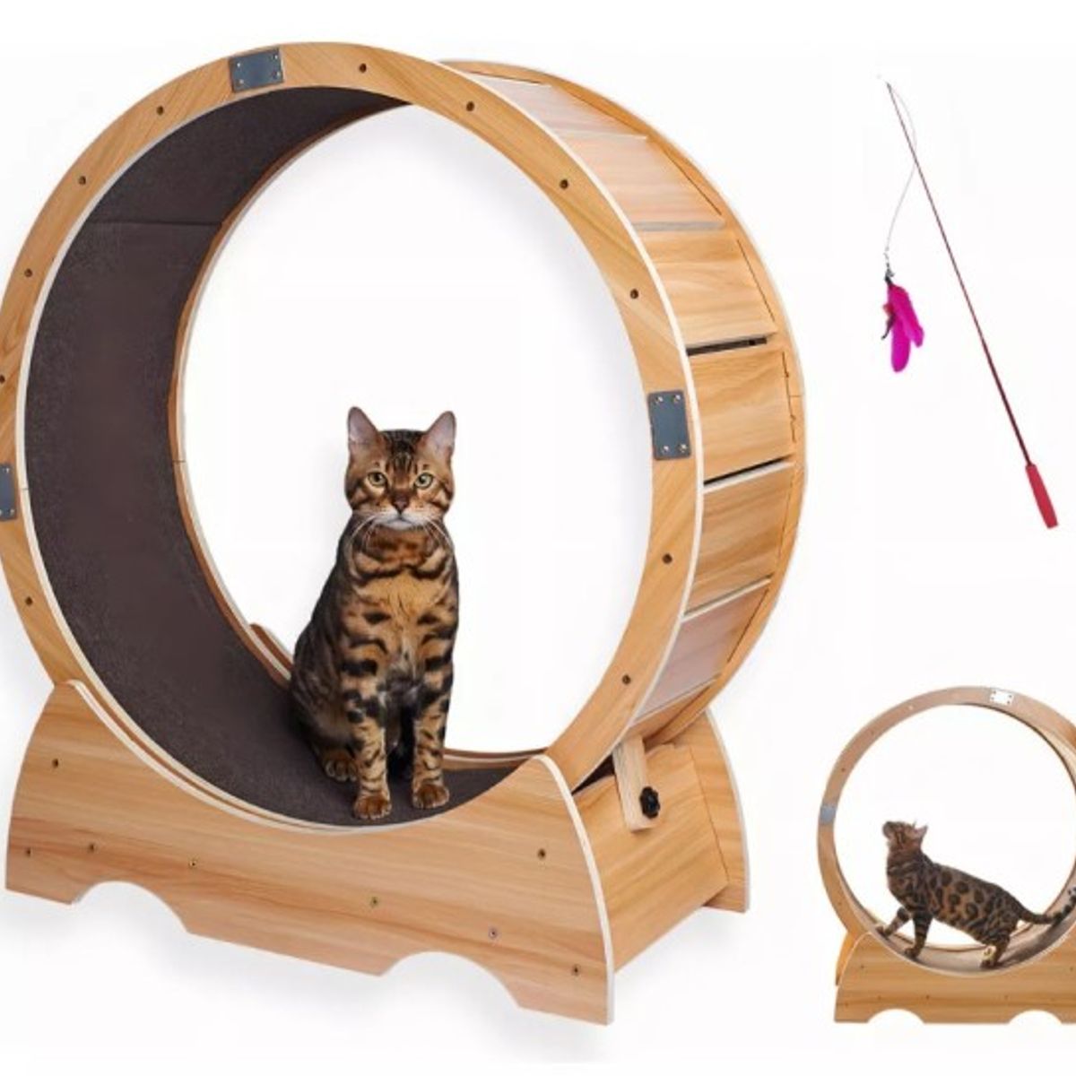 MAOS - Rueda De Ejercicio Para Gatos Desarmable