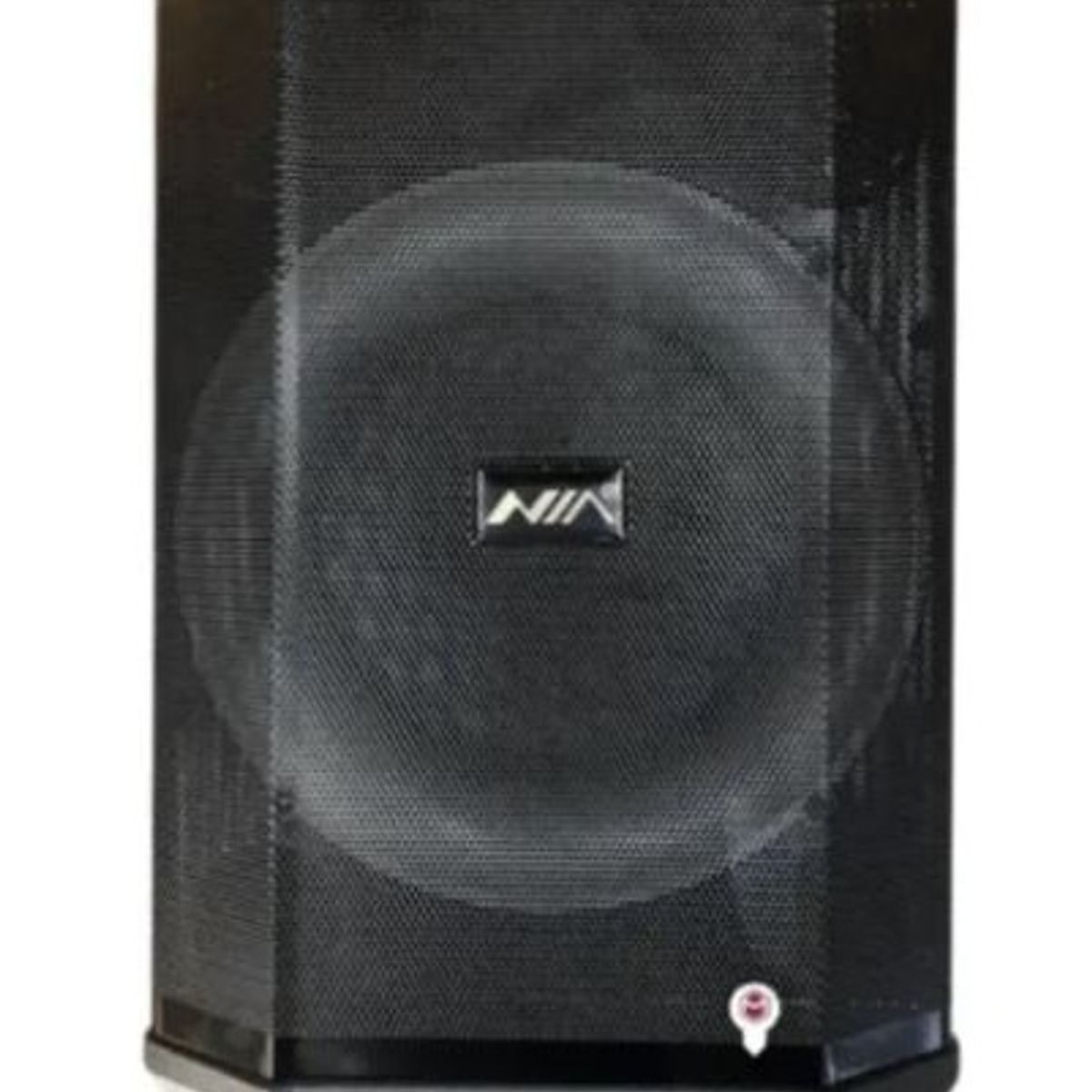 NIA - Parlante Woofer 8 Nia An-2018 Bluetooth Led Micrófono Inalámbrico Negro