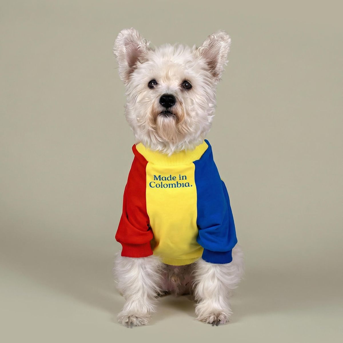 GENERICO - NUEVO PRODUCTO Camiseta Made in Colombia para perro - Talla XS - Ropa para Mascotas