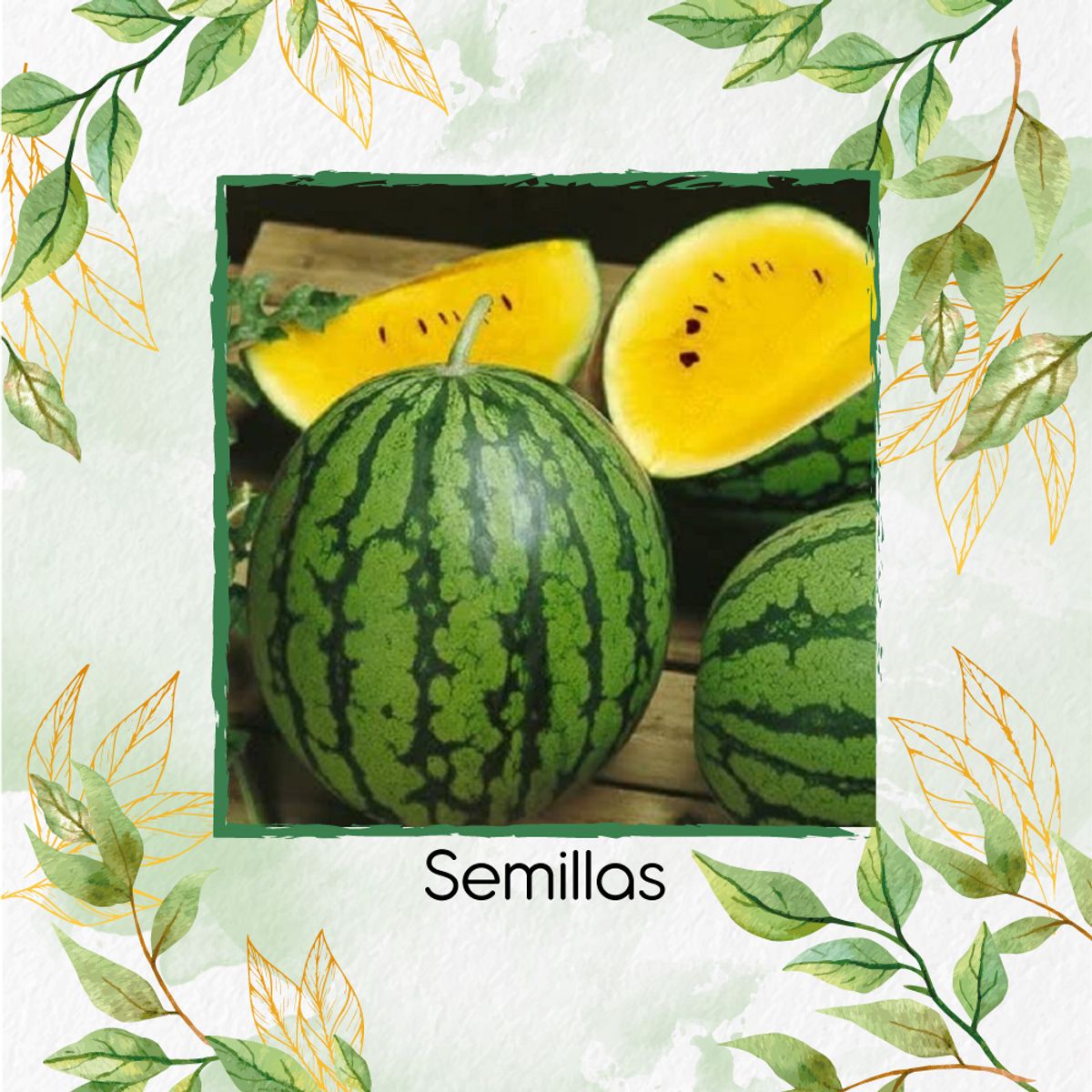 GENERICO - 100 Semillas Orgánicas De Sandía Amarilla Dulce De La Montaña