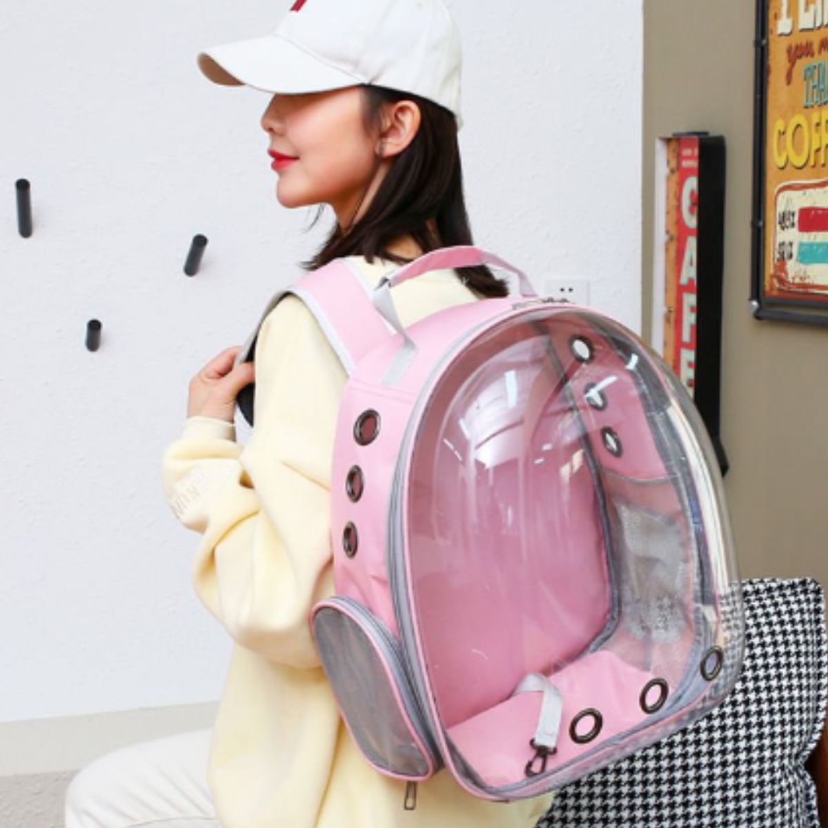 GENERICO - Morral Maleta Capsula Para Gatos y Mascotas