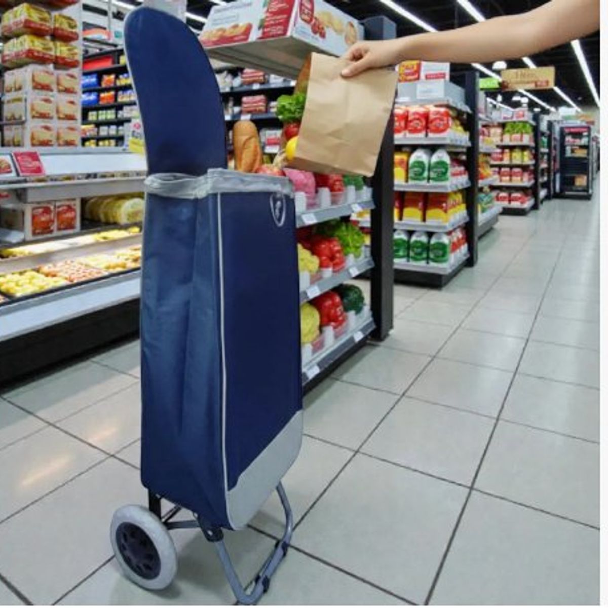 AMERICAN GENERICS - Carro de Mercado Plegable con Lona