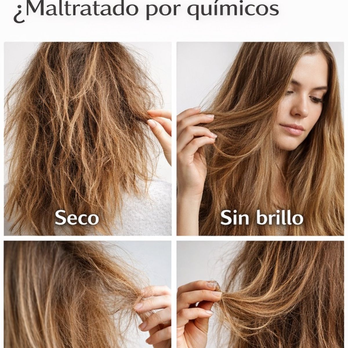 LEHIT - Shampoo cerveza sin sal Lehit cabello débil nutritivo con levadura lúpulo y cebada para crecimiento
