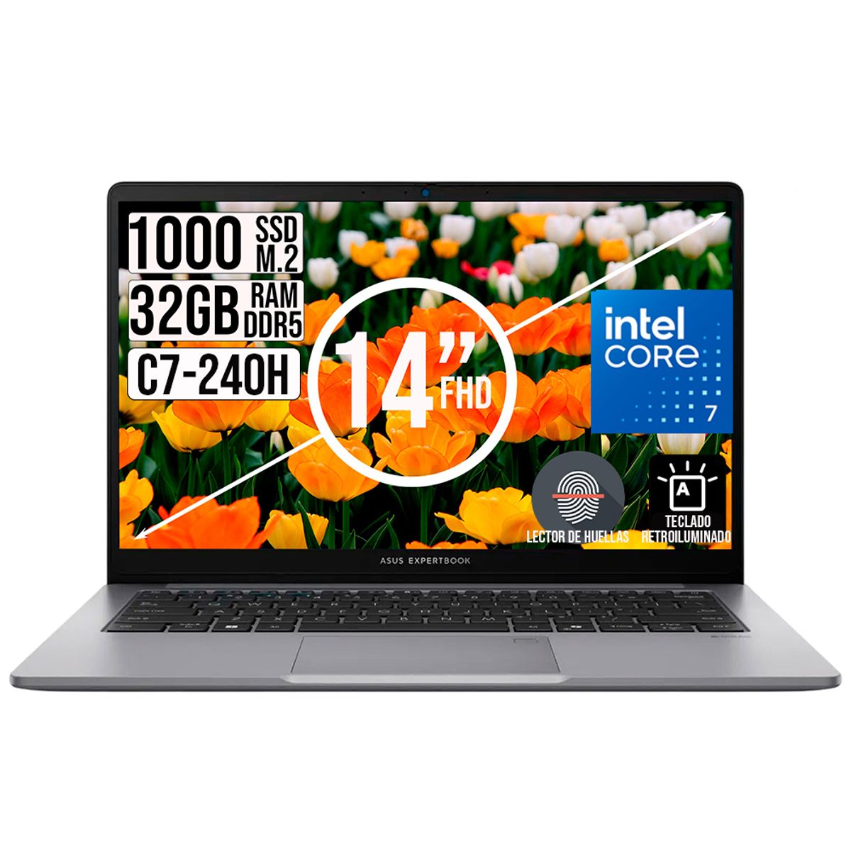 ASUS - Portatil Asus Expertbook Intel Core 7-240H Ssd 1TB Ram 32Gb 14 fhd