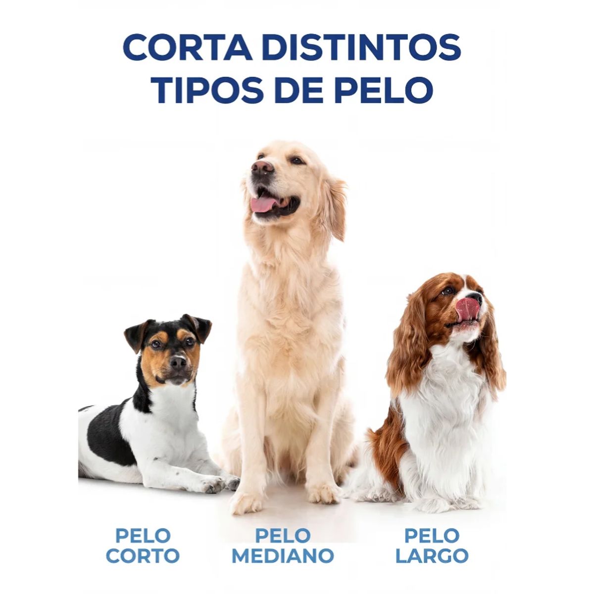TELEVENTAS COM - Peluquera Aspiradora con Kit Profesional Para Mascotas