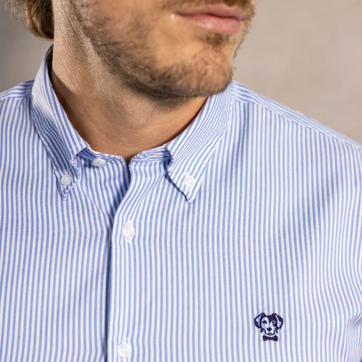 DANTE - Camisa Antimanchas Oxford Rayas Azul Yale