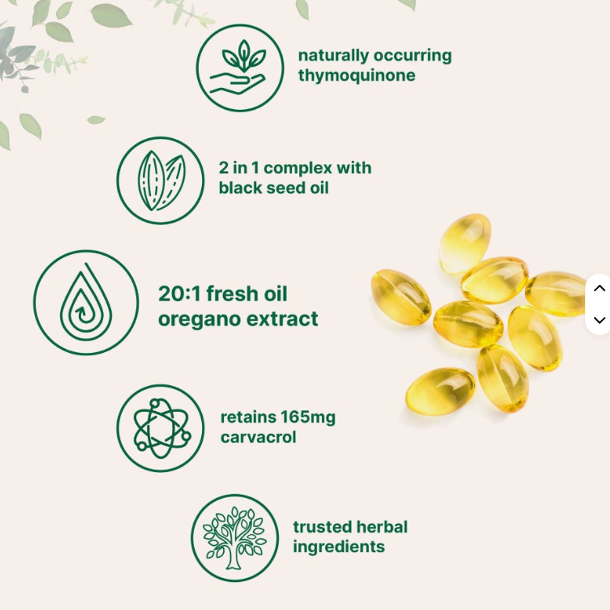 GENERICO - Extracto Aceite Oregano 180 capsulas