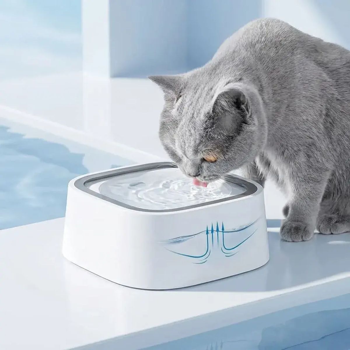 007PLUS - Plato Bebedero Antisalpicaduras para Perros y Gatos