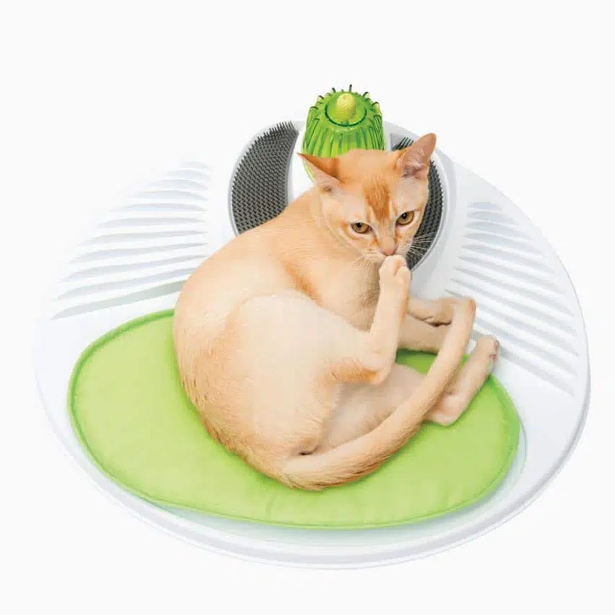 CATIT - Cattit Senses Wellness Center - Estación de Bienestar