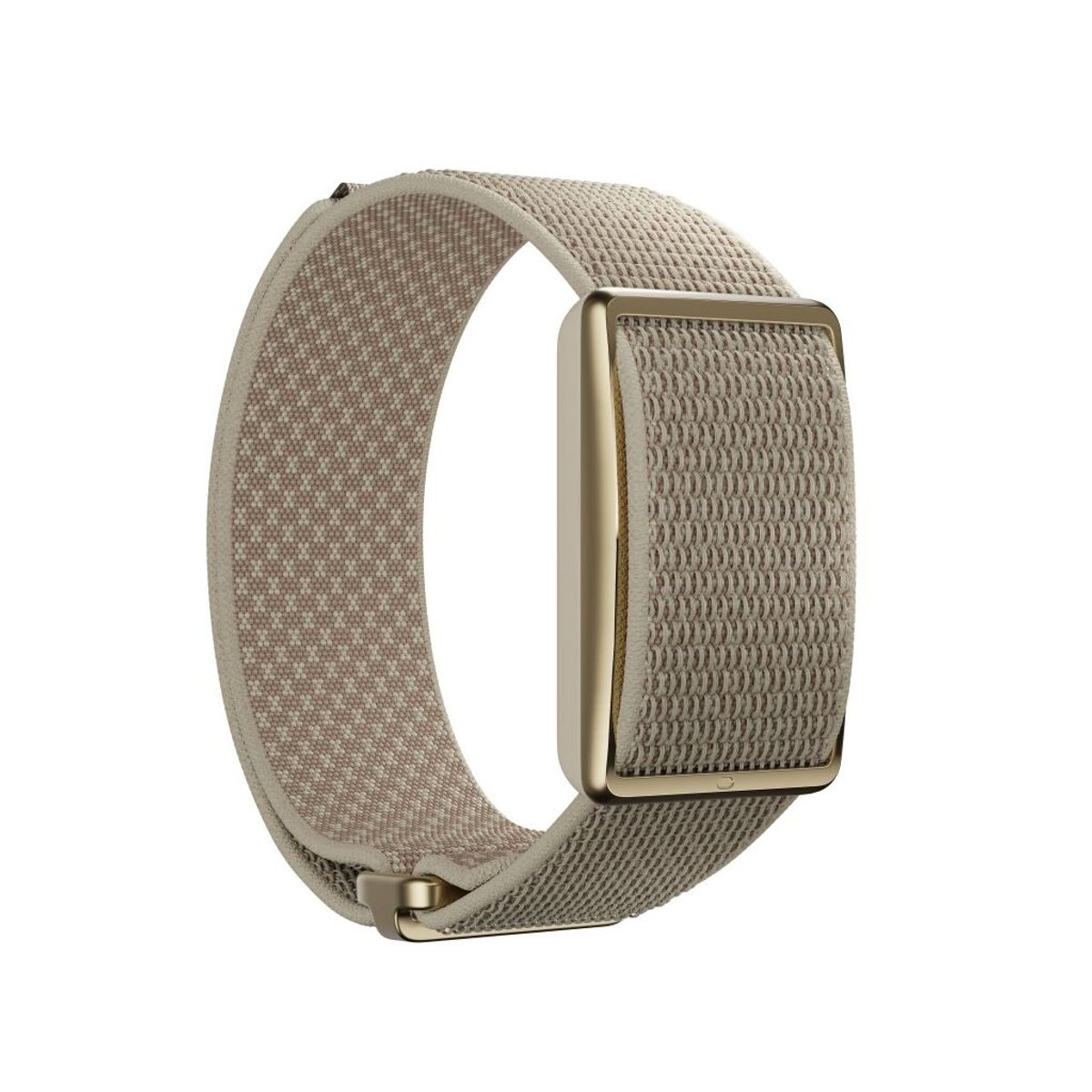 POLAR - POLAR LOOP GEN2 S-L.