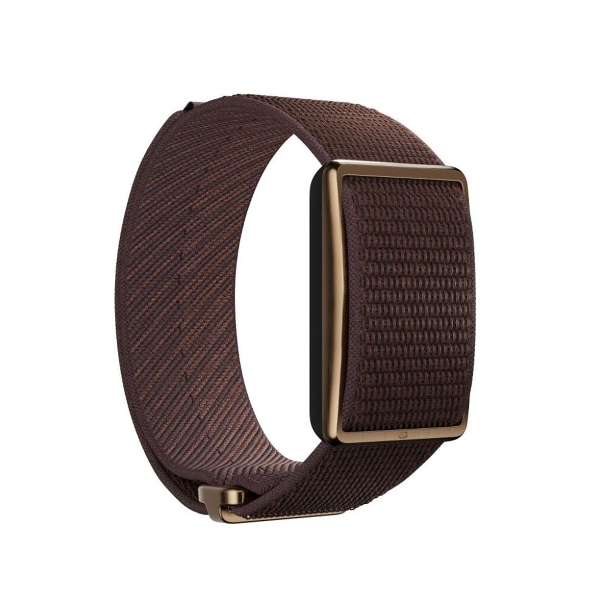 POLAR - POLAR LOOP GEN2 S-L.
