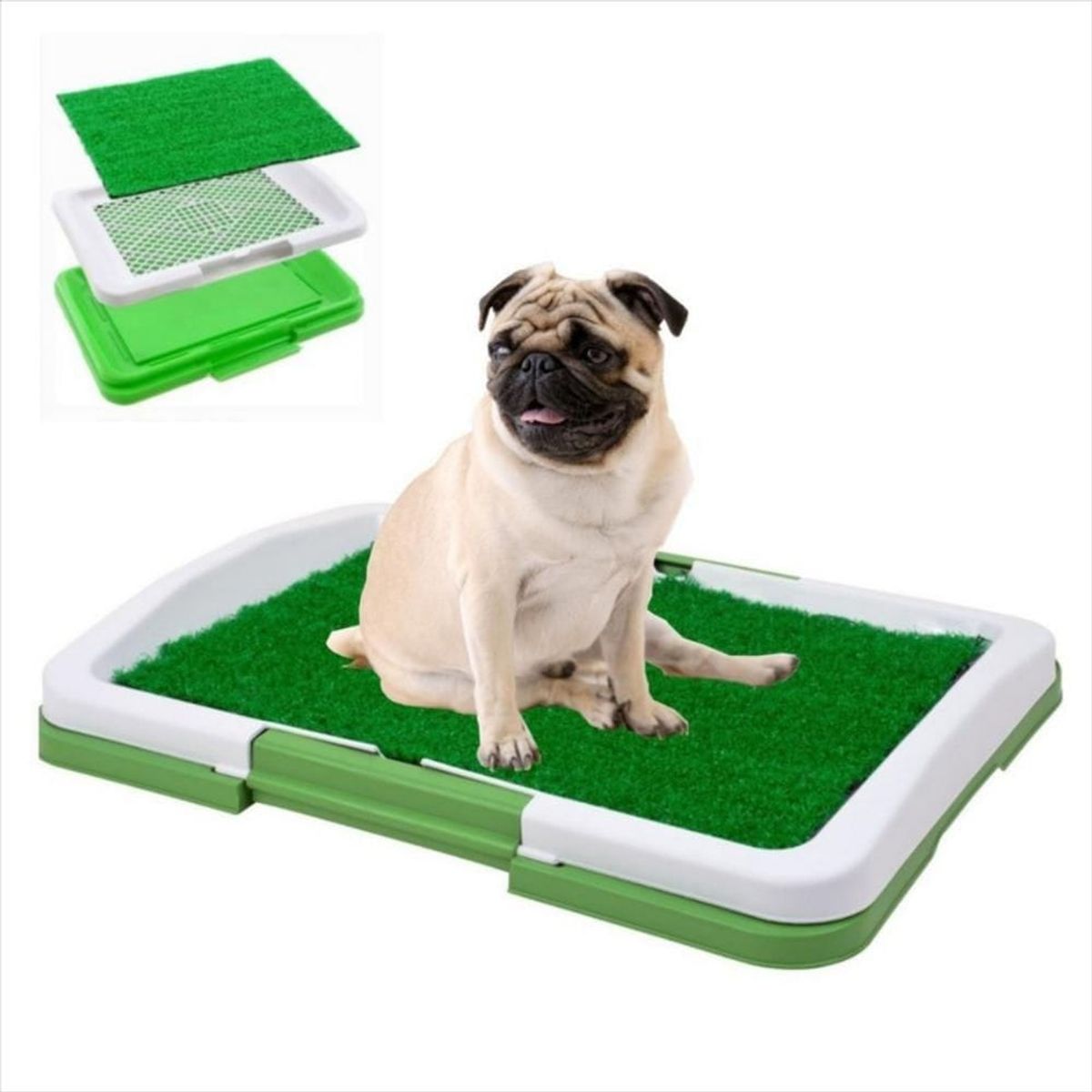 CLEAR - Tapete Entrenamiento Baño Potty Pach Perros Pequeños No Generico