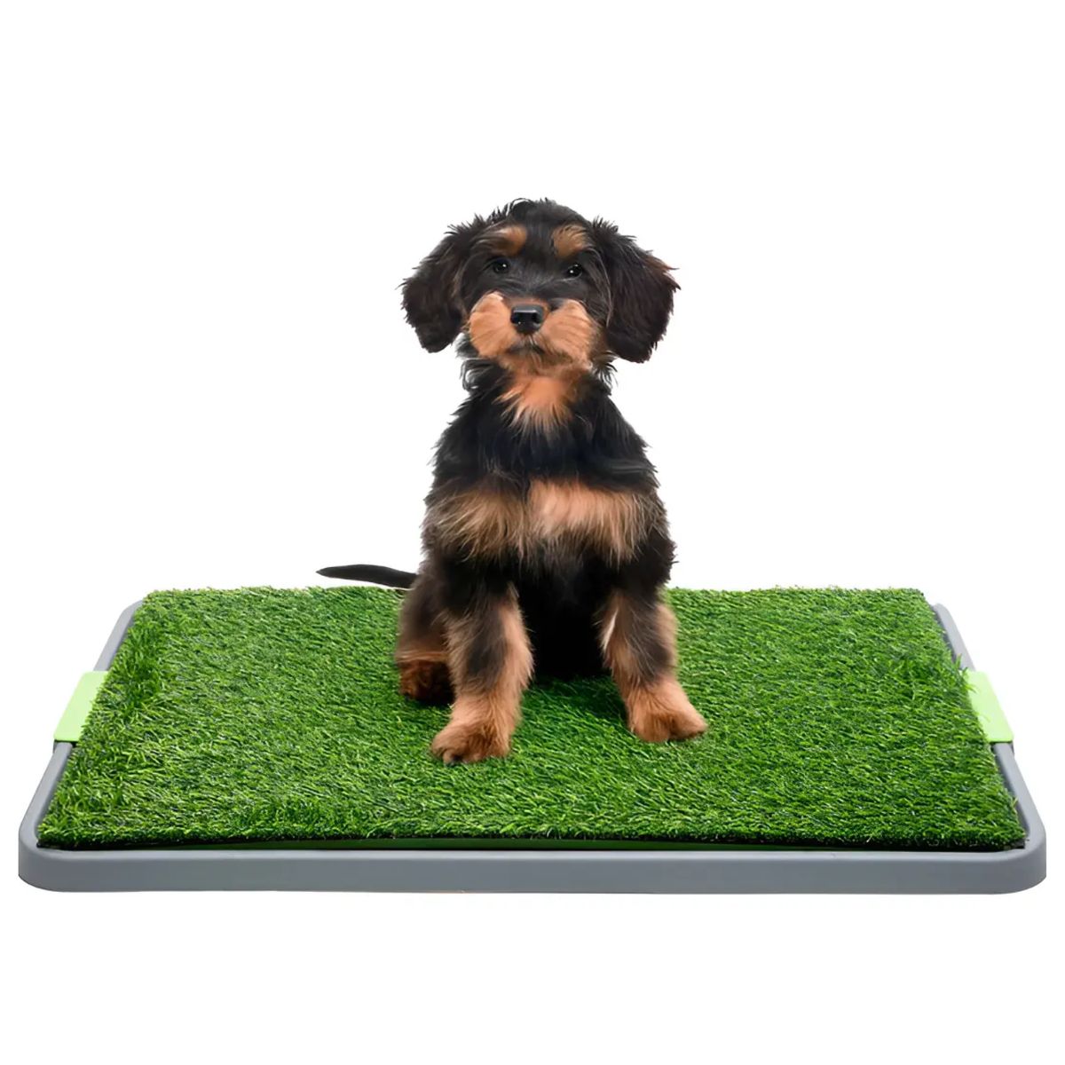 TECNOHOGAR JS - Tapete Sanitario Para Perros Con Pasto Sintético Tipo Orinal Entrenador Para Cachorros