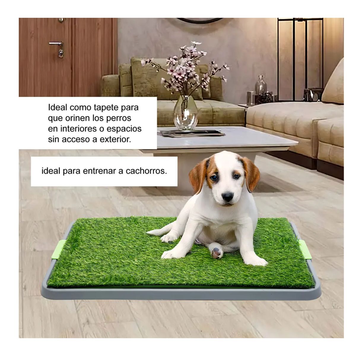 TECNOHOGAR JS - Tapete Sanitario Para Perros Con Pasto Sintético Tipo Orinal Entrenador Para Cachorros