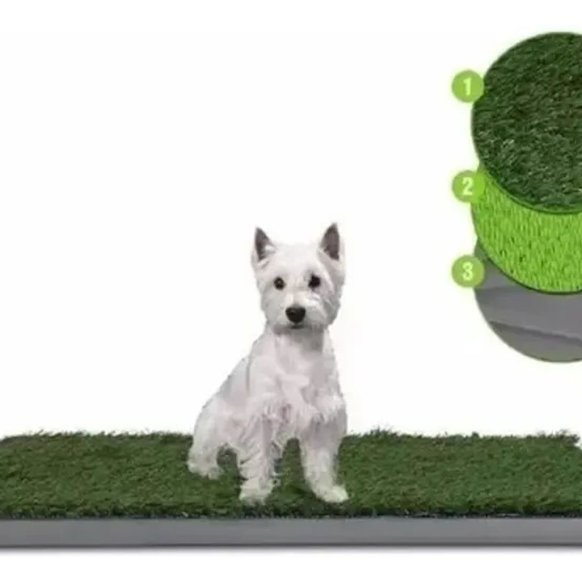 CHINA - Tapete Grande Entrenador Para Perro Potty Patch