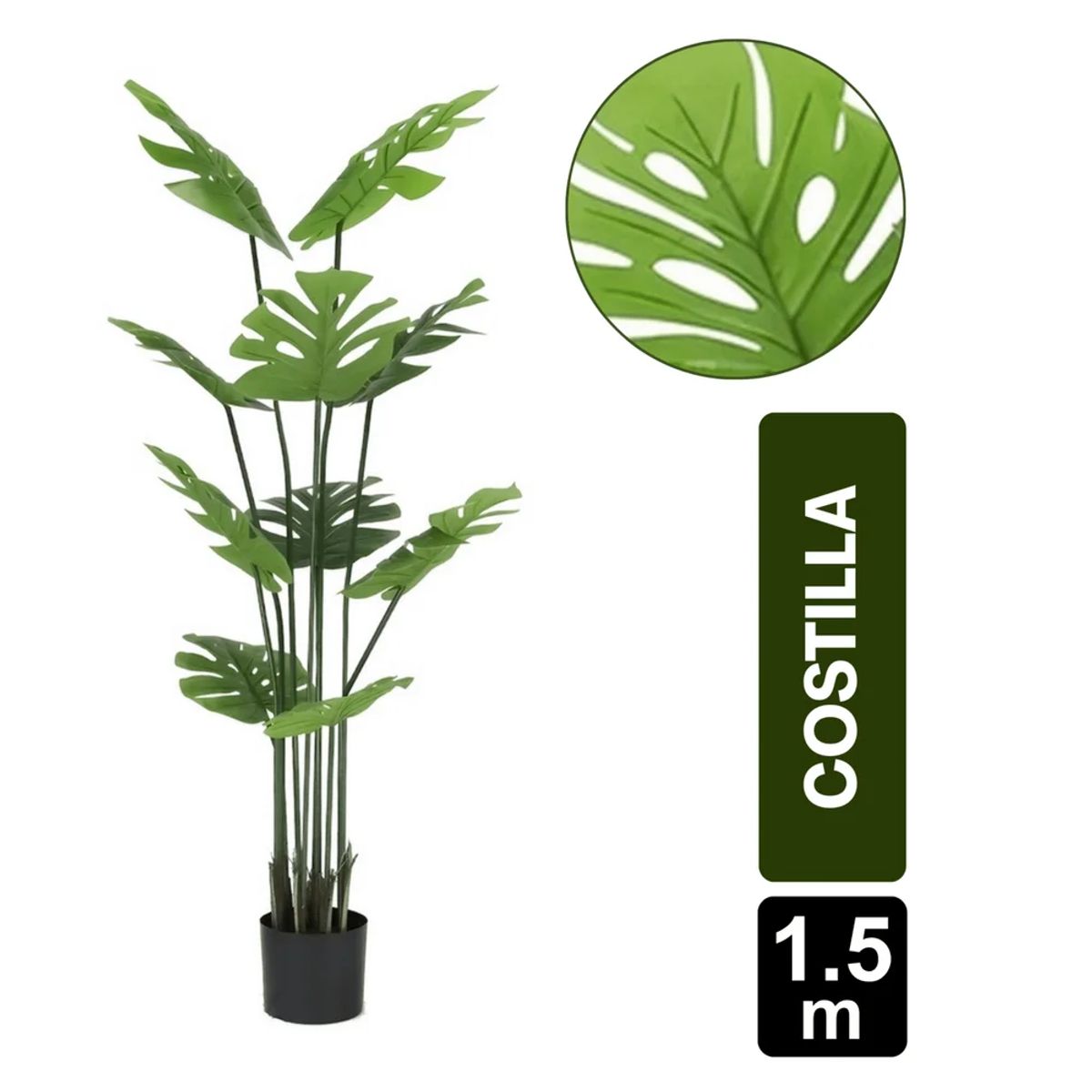 GIO HOME - MATA COSTILLA DE ADAN X10 150CM ARTIFICIAL