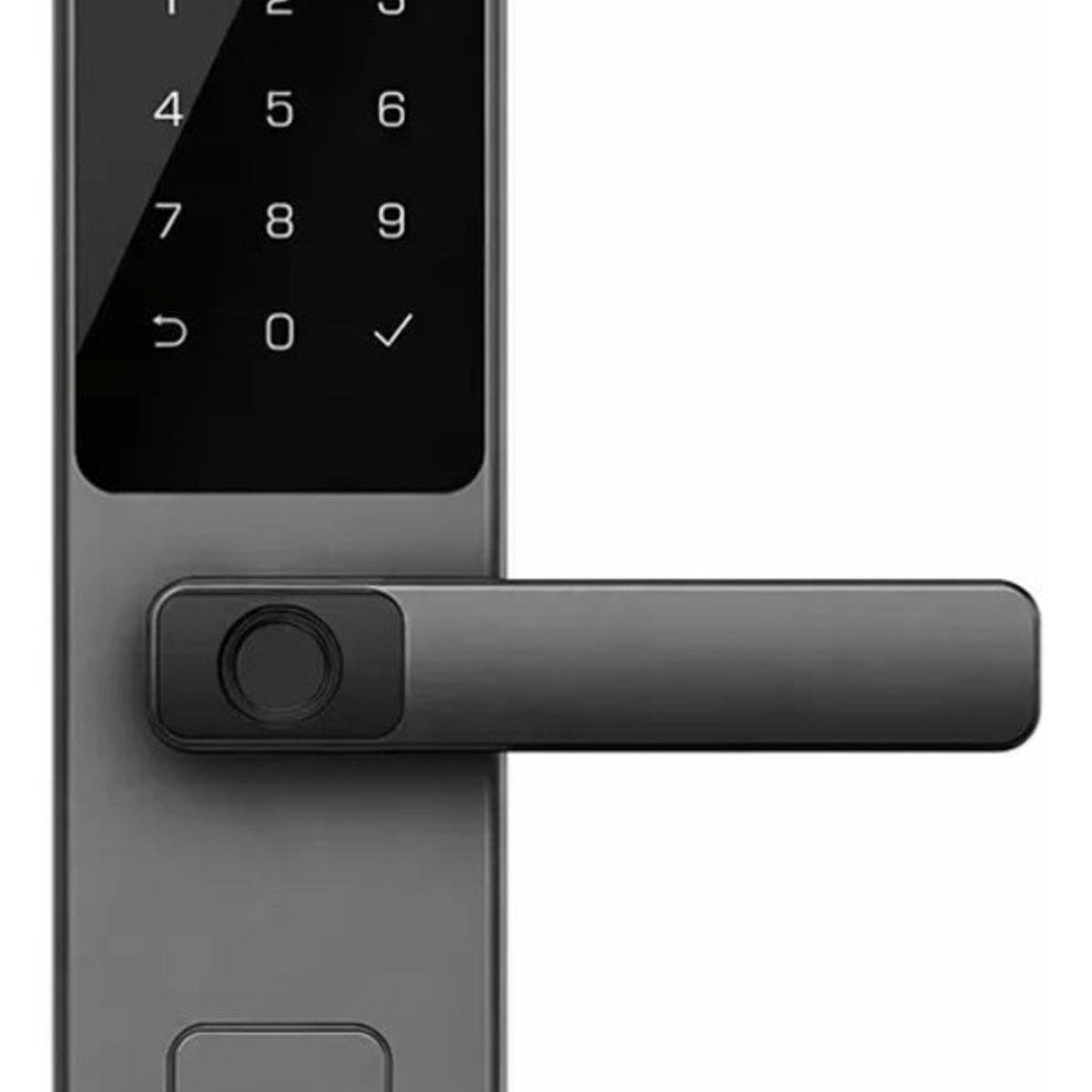 EZVIZ - Cerradura Facial Inteligente Ezviz DL20 FVS Plus Palma Wi-Fi Negro
