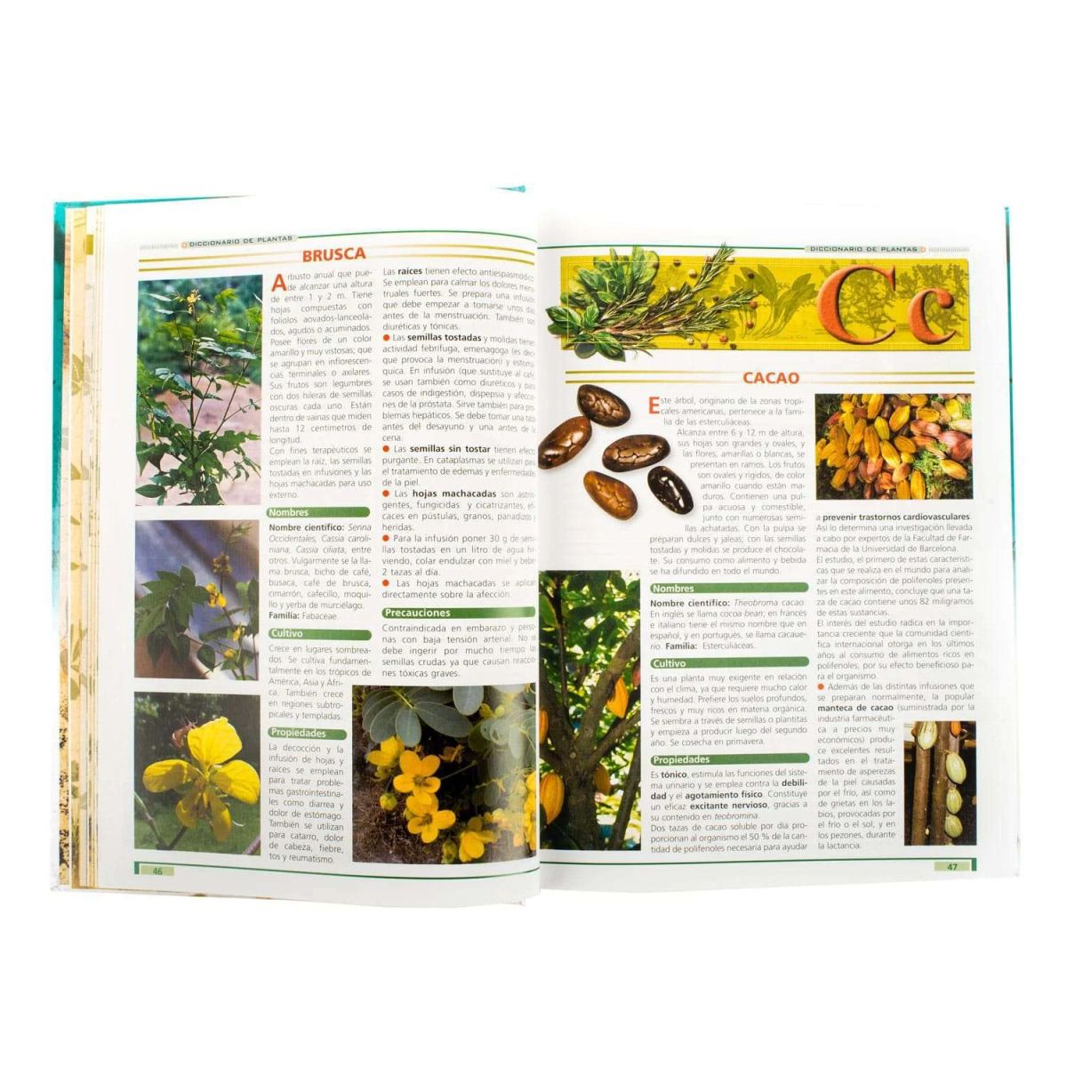 LEXUS - Libro Las Plantas y Sus Propiedades Curativas