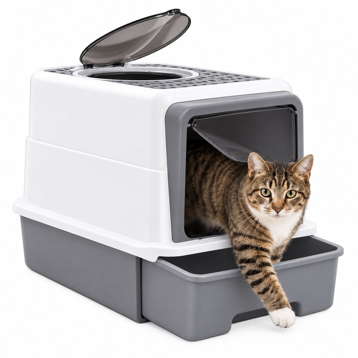 OEM - Arenero Caja Arena Gatos Grande cubierto