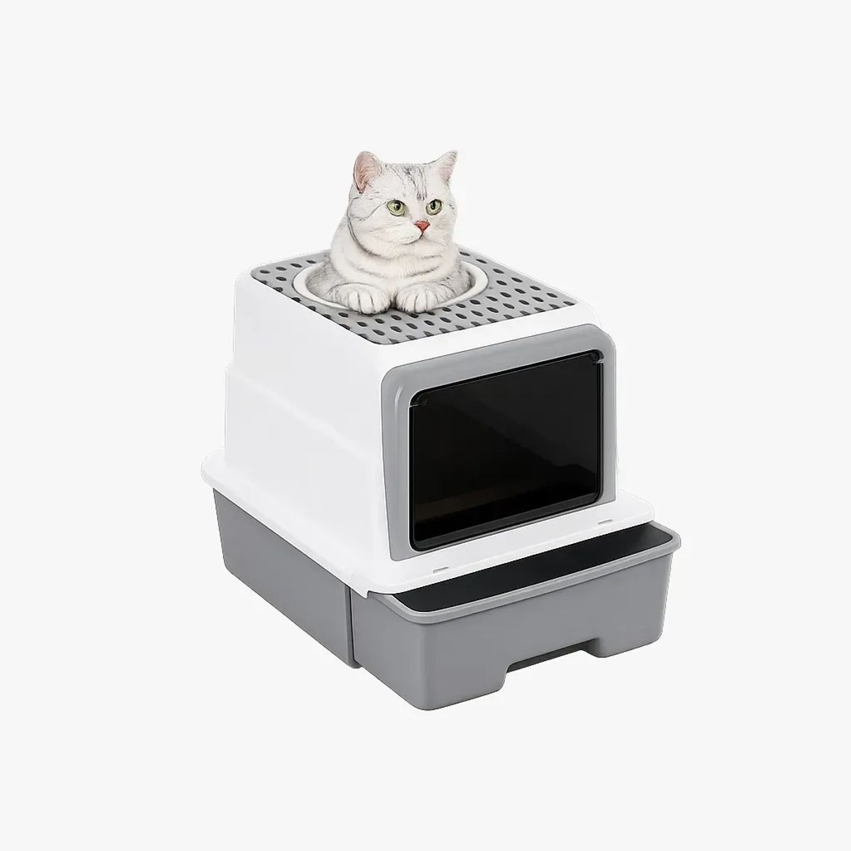 OEM - Arenero Caja Arena Gatos Grande cubierto