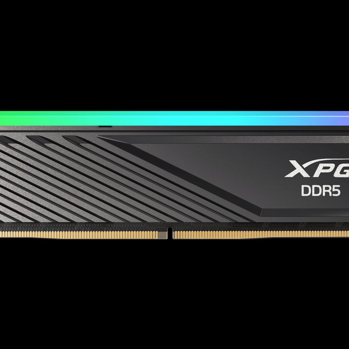 XPG - MEMORIA RAM XPG LANCER BLADE RGB NEGRO de 16GB DDR5 a 5600MHz con Perfil Bajo