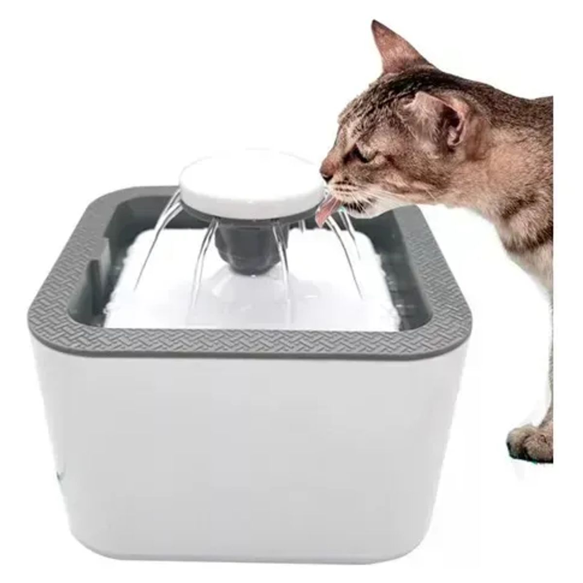 CHINA - Fuente Bebedero Para Mascotas Agua Fresca
