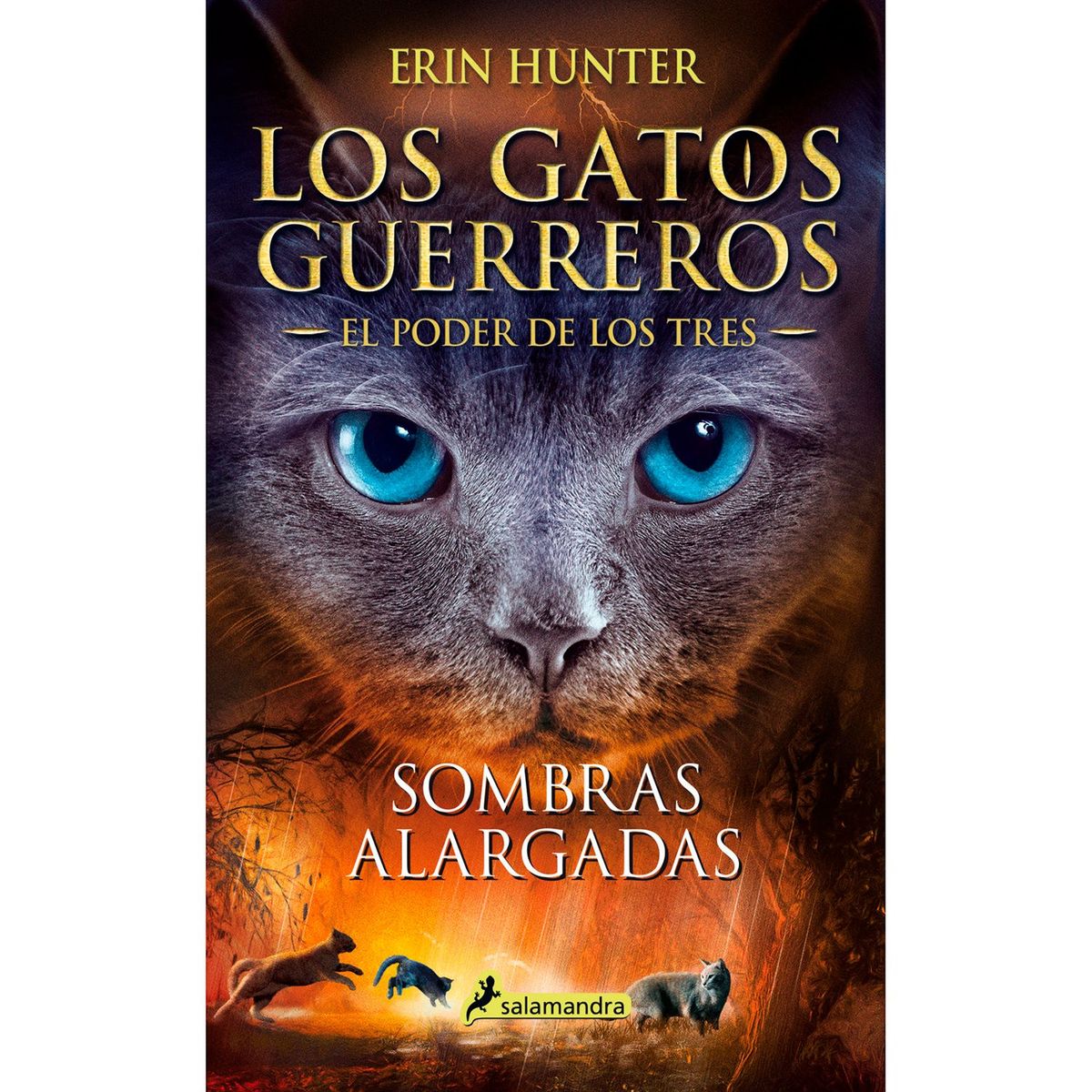 PENGUIN - Los gatos guerreros - el poder de los tres 