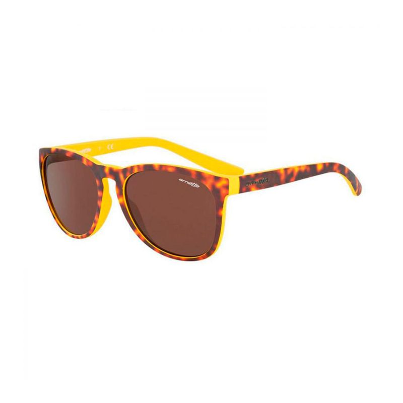 ARNETTE - Gafas de sol Arnette AN4227