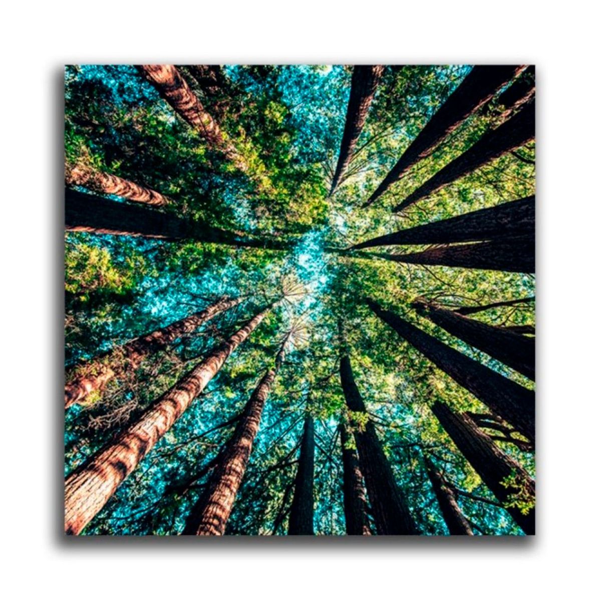 MICA - Cuadro Poliéster Bosque L