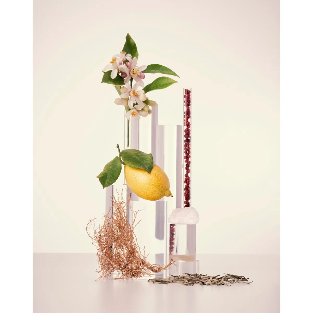 CAROLINA HERRERA - Perfume Mujer Carolina Herrera CH Leau 100 ml EDT 