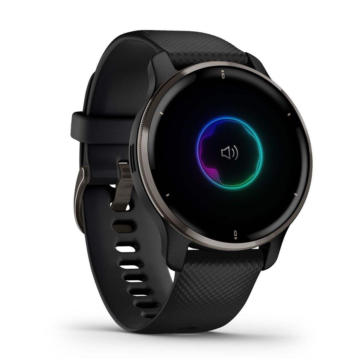 GARMIN - Smartwatch Garmin Venu 2 Plus  Black Slate 