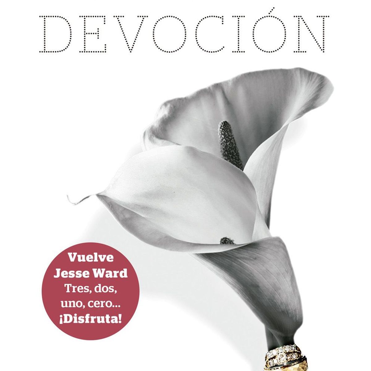 EDITORIAL PLANETA - Mi hombre Devoción - Jodi Ellen Malpas