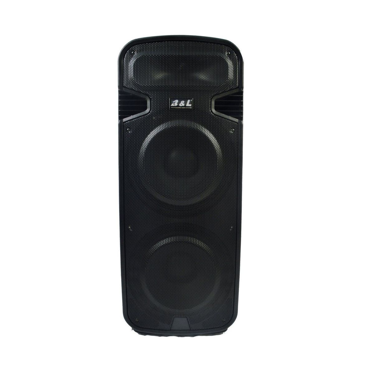 B&L - Cabina Activa Doble Parlante de 15 BL