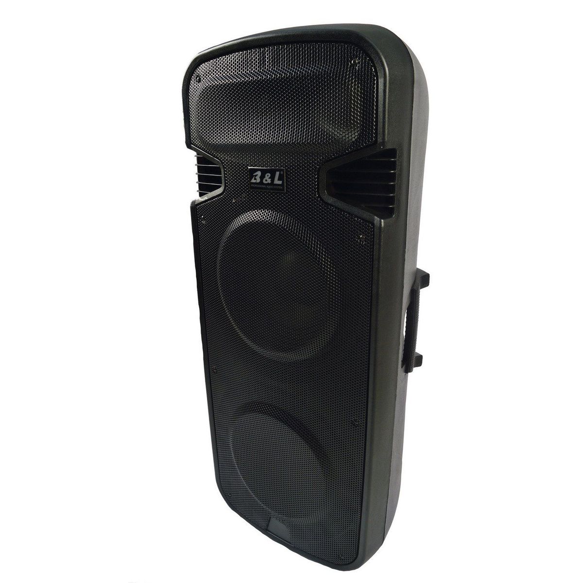B&L - Cabina Activa Doble Parlante de 15 BL