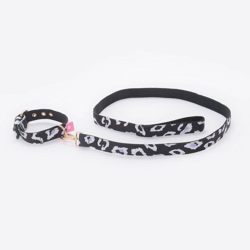  - Collar + Correa para Perro