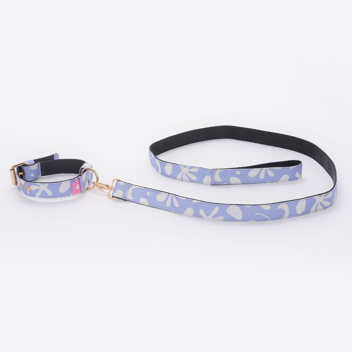  - Collar + Correa para Perro